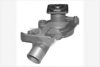 HUTCHINSON WP189 Water Pump